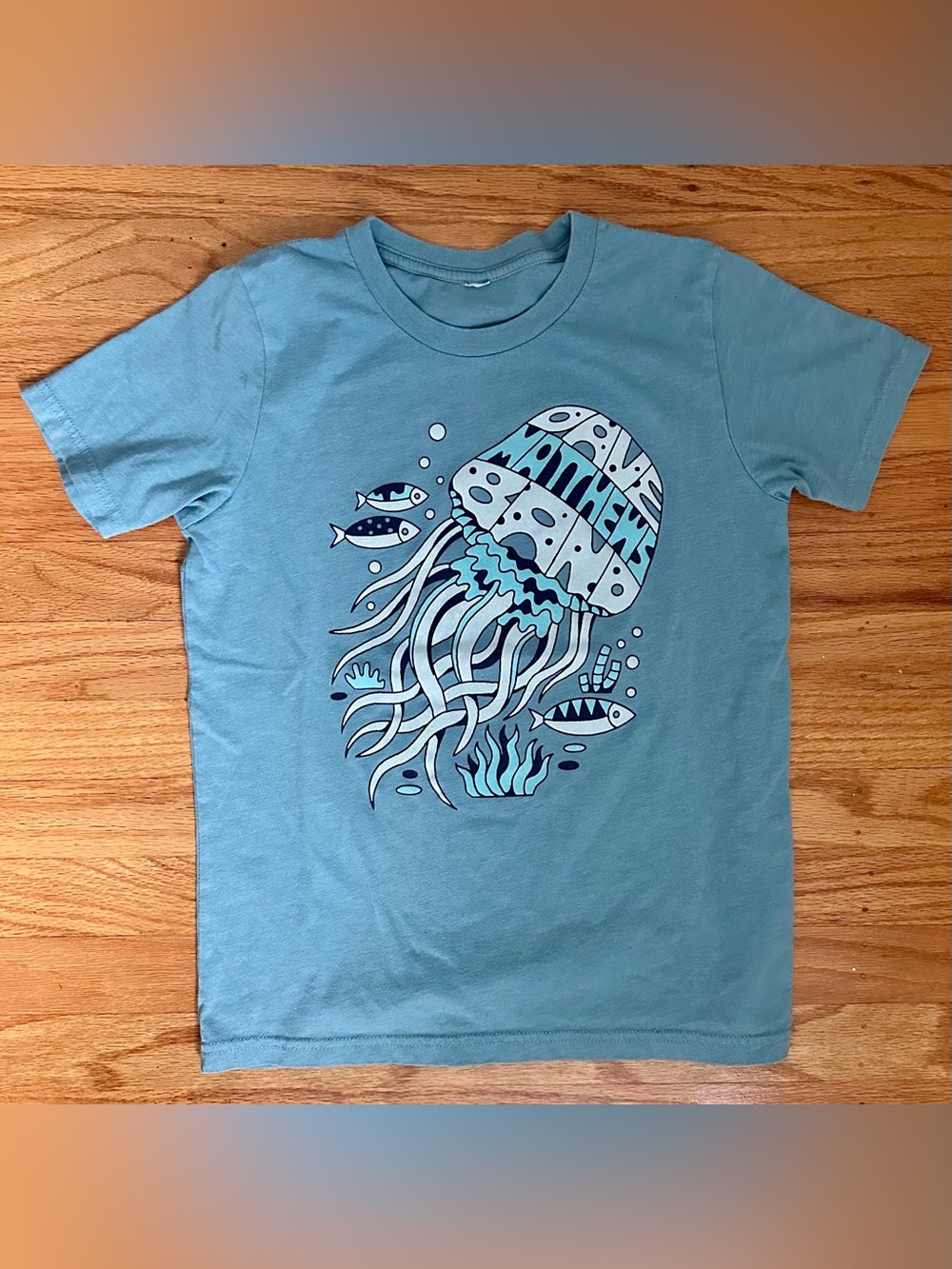 Kids Dave Matthews Band T Shirt Light Blue Jelly Fish Concert Large L 2022